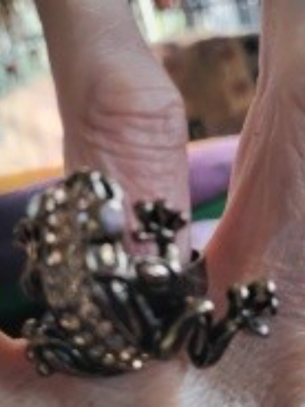 Embellished adjustable frog ring! - Picture 2 of 3